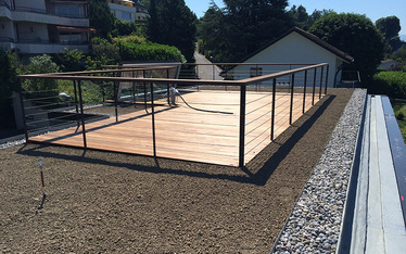 <strong>Flachbedachung </strong>Erlenbach <br />Begrünung